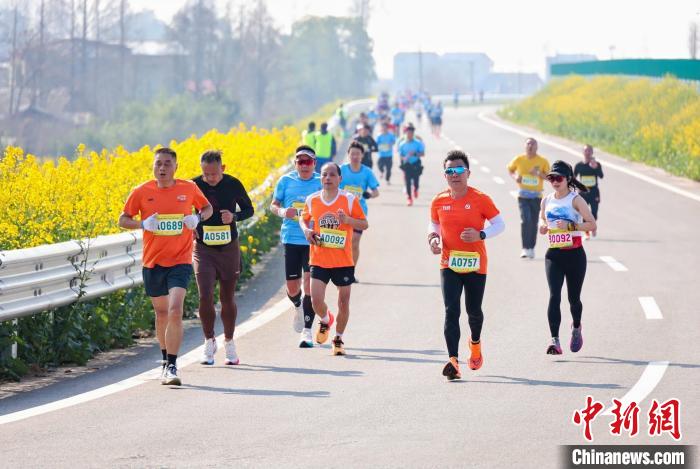 2025湖南南县罗文花海半程马拉松在油菜花田中开